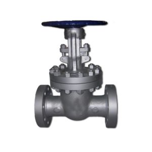 bolted-bonnet-high-pressure-globe-valve